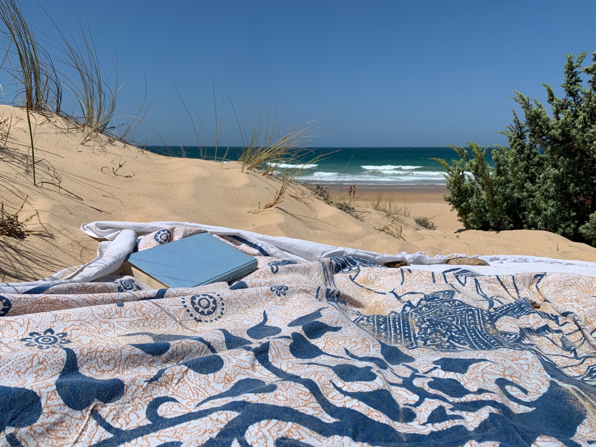 Duna y playa atlántica cerca de Casa Carlota en Conil